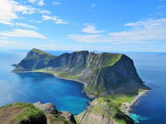 530x397 Værøy damoiseau
