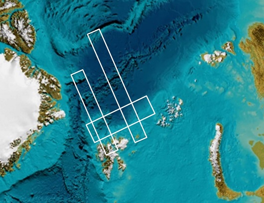 530x408 Survey
