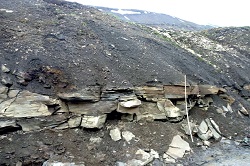250x166 Carolinefjellet
