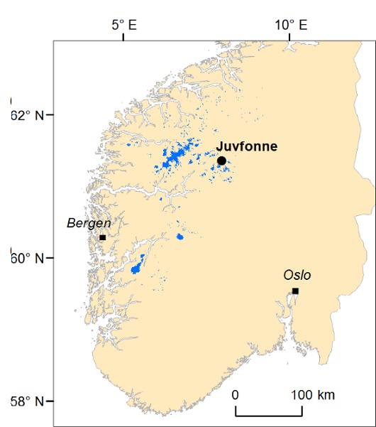 530x601 juvfonne