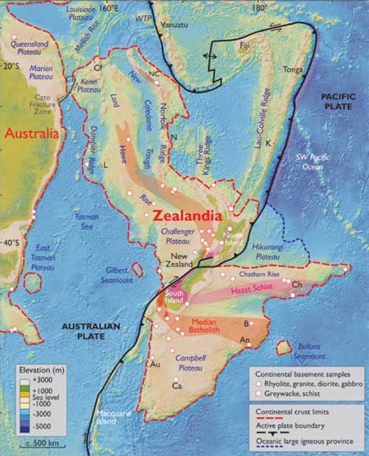 530x656 Zealandia