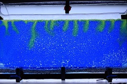 250x166 image03