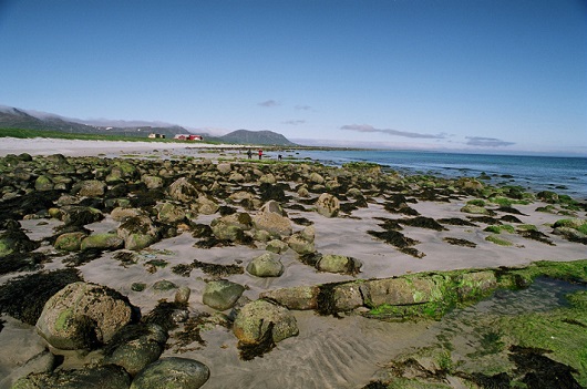 530x351 Strandblotning Ramså