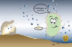 250x166 2.Dyr bakterie cartoon