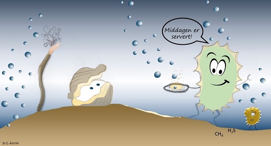530x287 2.Dyr bakterie cartoon