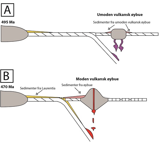 530x474 fig4