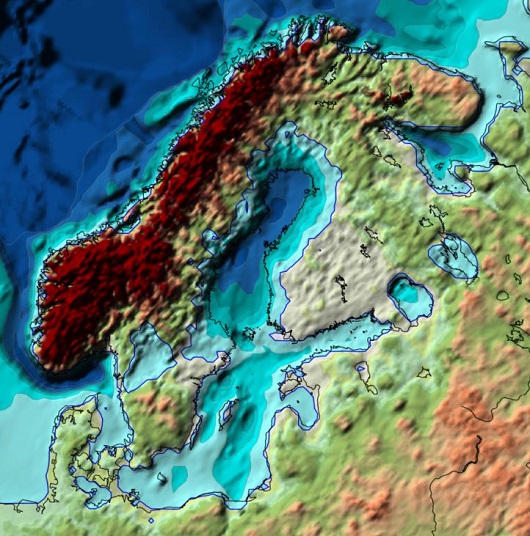 530x536 fig3