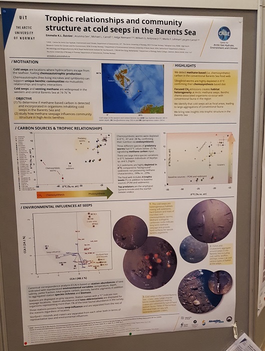 530x702 Åström et al. poster