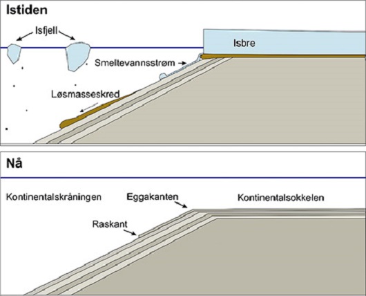 530x428 fig2