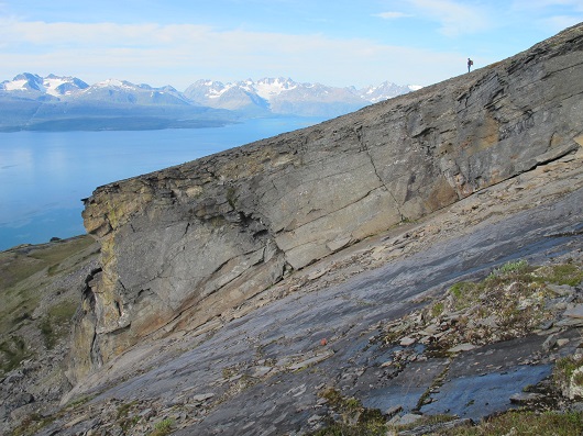 530x397 IMG 0029