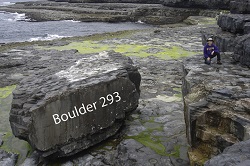 250x166 Blokker 2