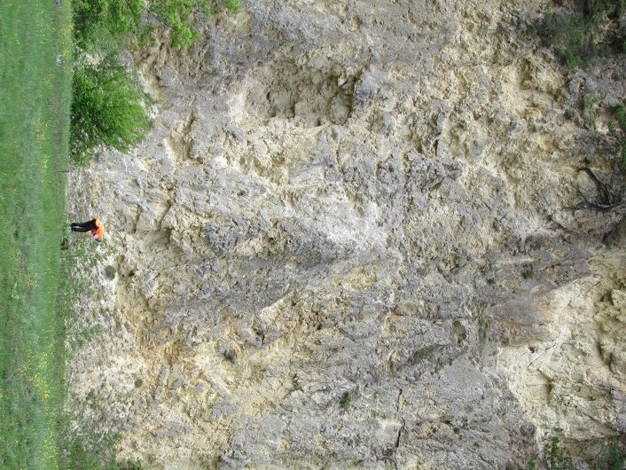 530x706 Fig 8