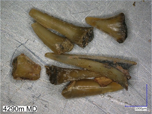 530x396 fig1