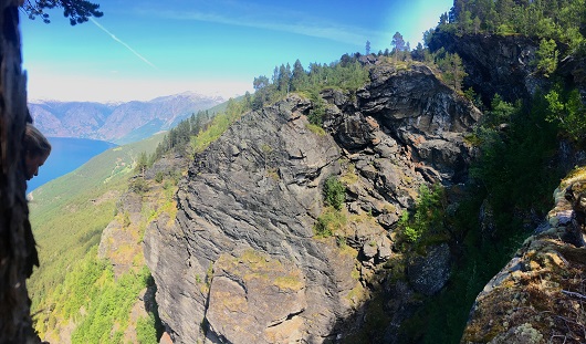 530x311 IMG 2429