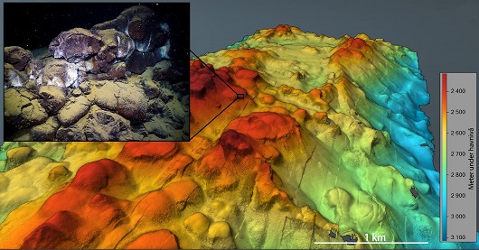 530x277 fig1
