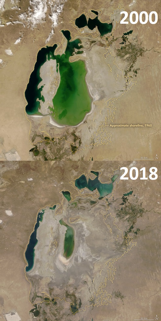 530x1055 Aral20002018