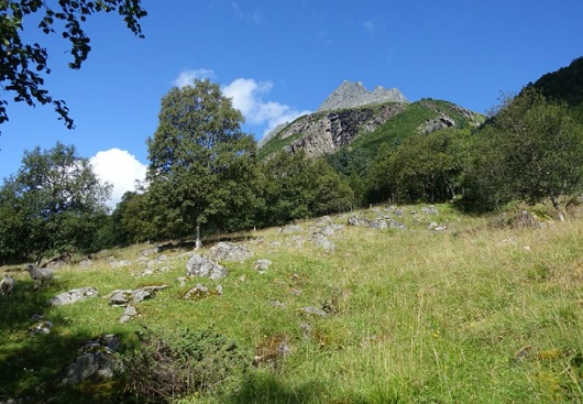 530x367 liatinden