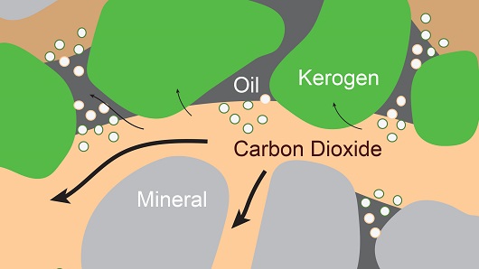530x298 tamu kerogenhr
