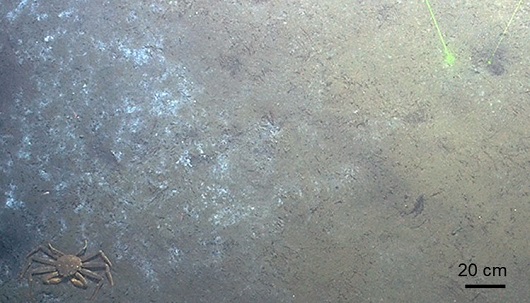 530x303 Fig.3