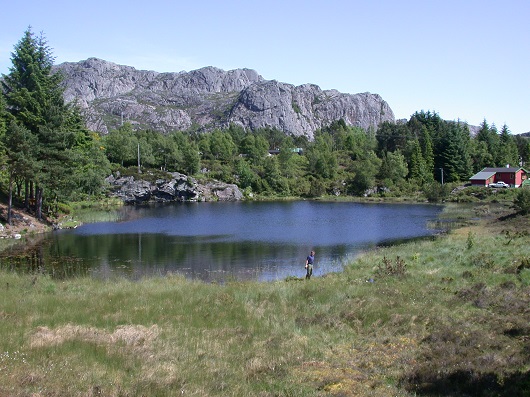 530x397 Fig. 5. Gardatjønn.DSCN1365