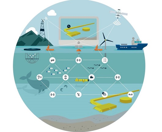 530x431 smart ocean brei