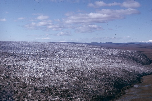 530x353 Scan42