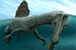 250x166 Spinosaurus aegyptiacus