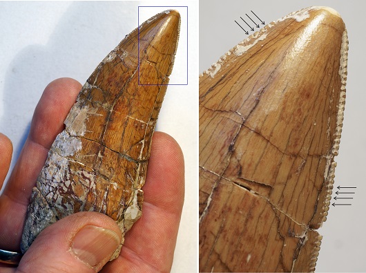 530x395 Baufil