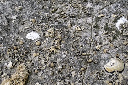 250x166 Devon