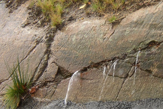 530x353 Utspring