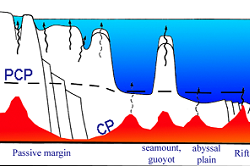 250x166 fig1