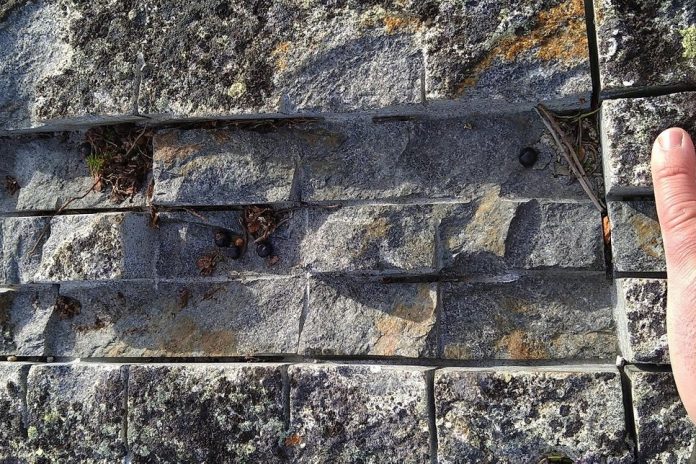 Skjæring 8 redusert