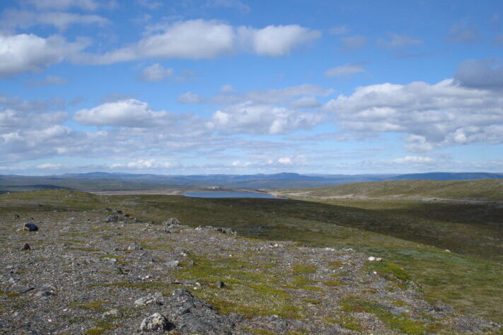 Gull: Bidjovagge