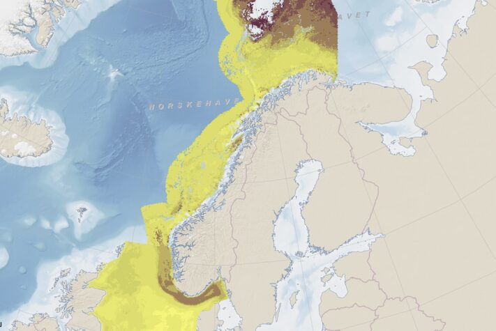 Et gigantisk karbonlager 