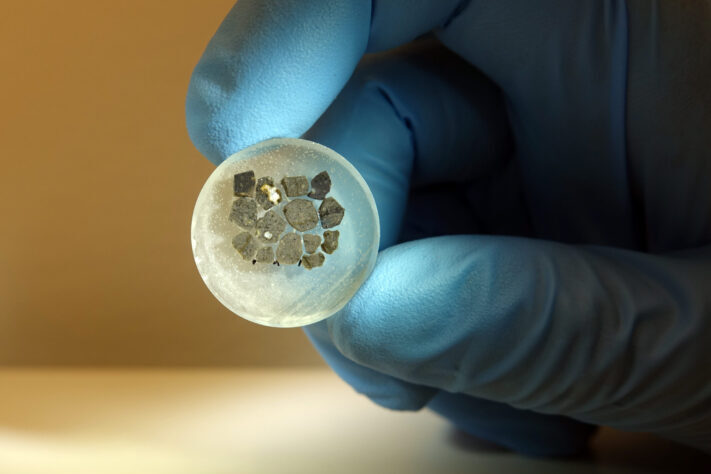 Livet som våknet i et krater 