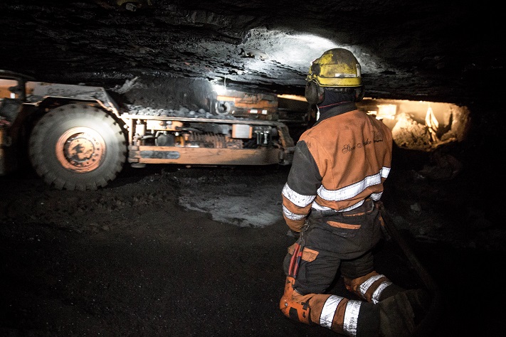 Svalbard-kull er bedre for klima