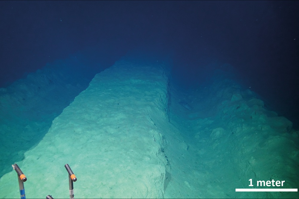 Seabed mining – life recovers